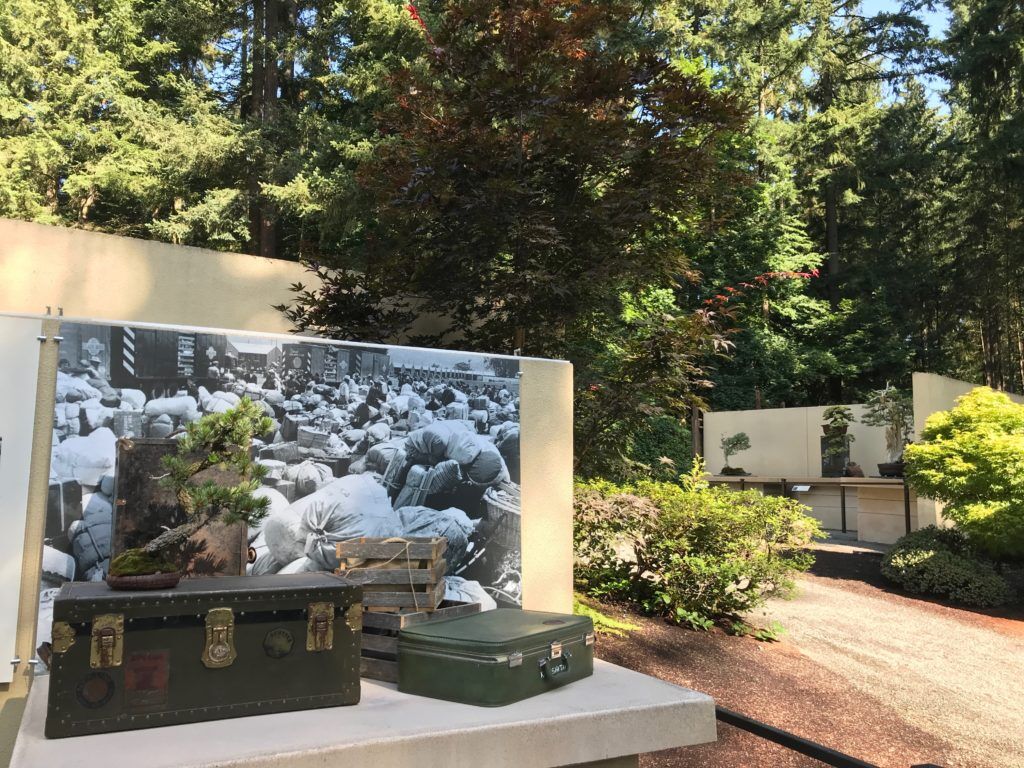 Exhibit in Federal Way Showcases the History of Bonsai Artists